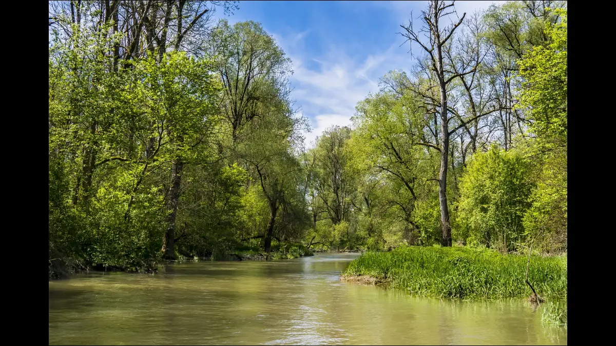 Attorno un bosco al centro un ruscello