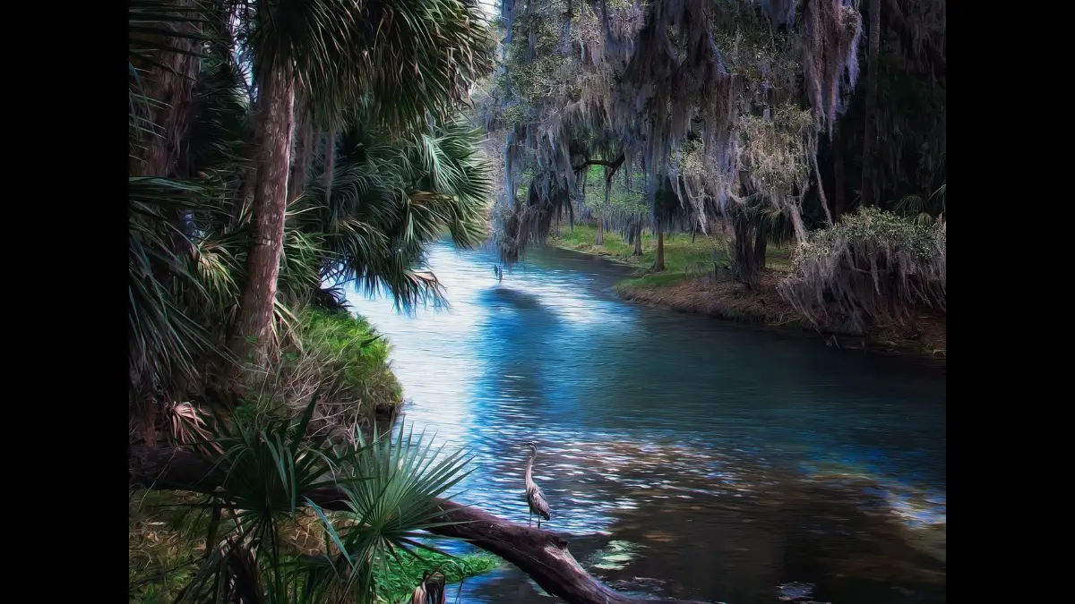 Un grosso ruscello scorre in un bosco