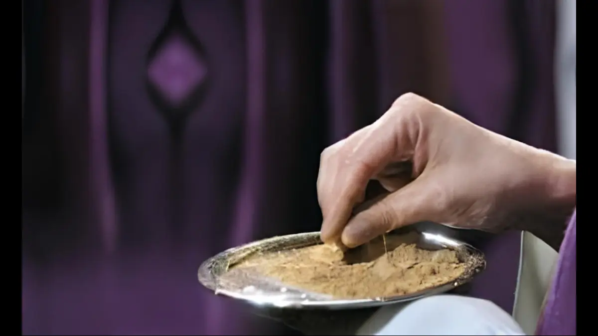 Vassoi con le ceneri