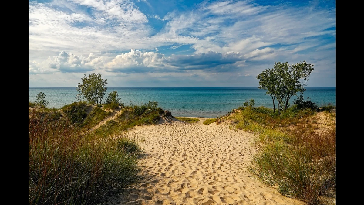 Spiaggia con arbusti col mare sullo sfondo