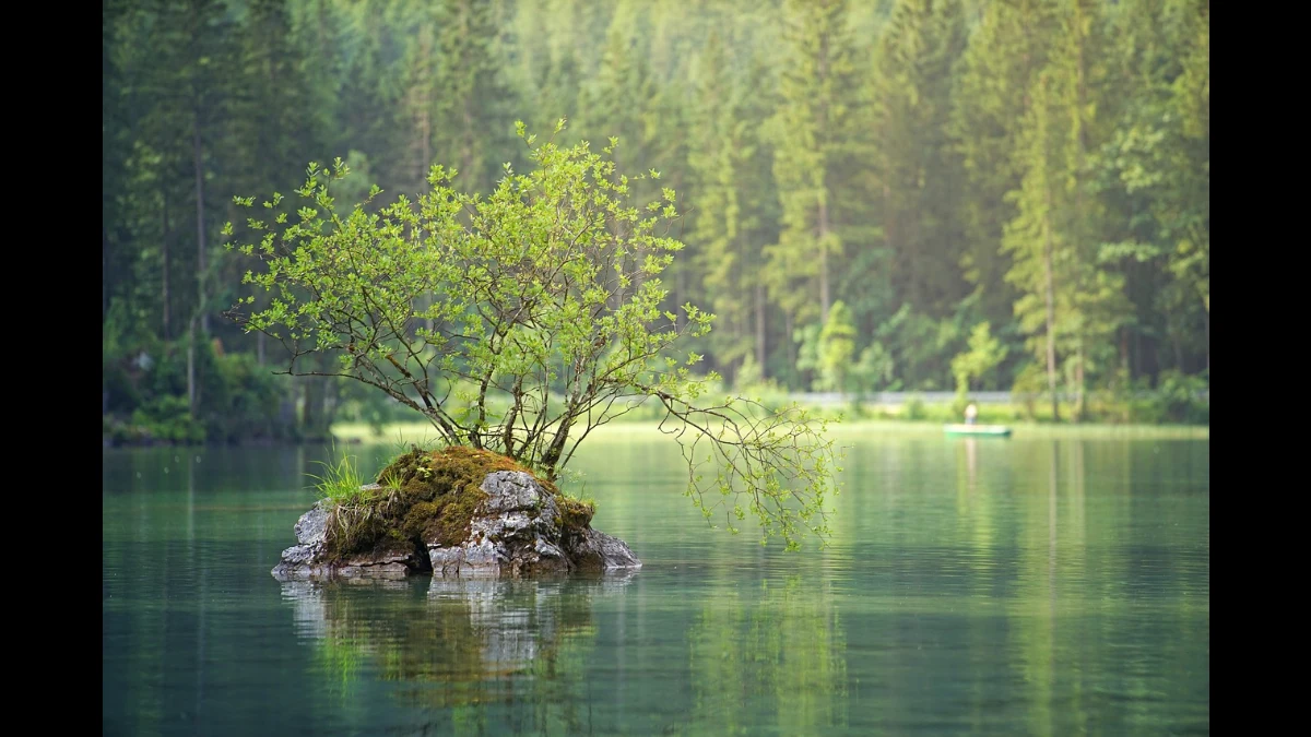 Spuntone di roccia sormontato da piante al centro di un piccolo lago