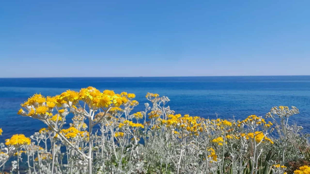 Primavera in riva al mare