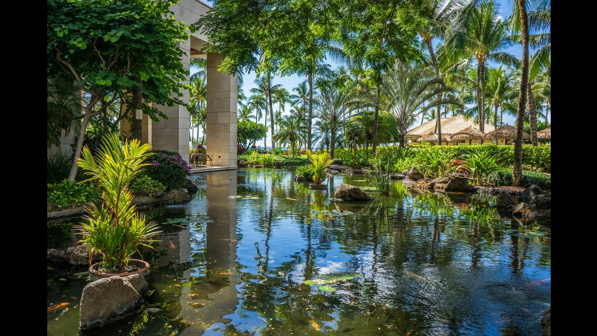 Esotico piccolo lago nella boscaglia
