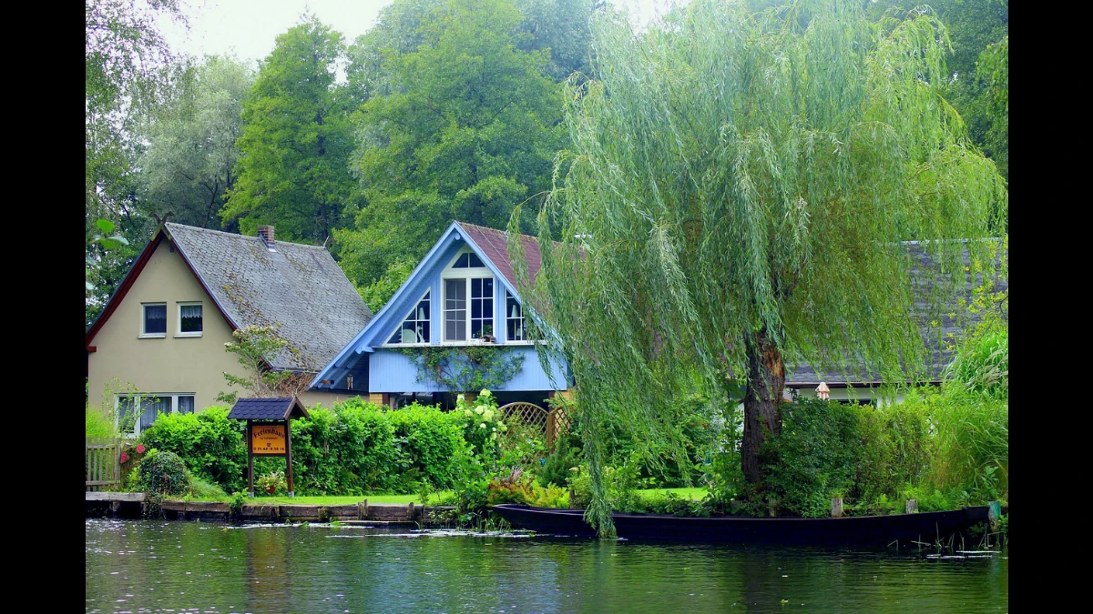 Case sulla riva del lago con un grande salice piangente in primo piano