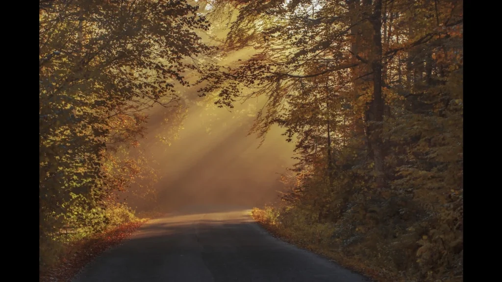 Il sole sbuca improvviso all'interno di una strada in un bosco e infiamma i colori dell'autunno