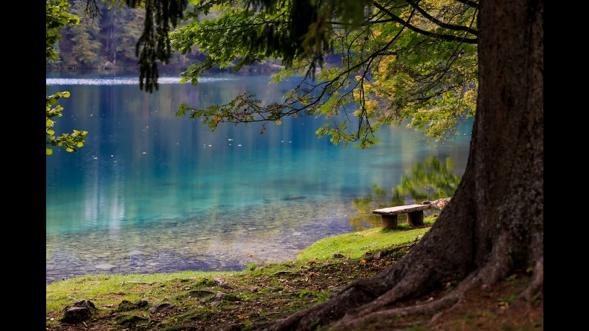 Le prime foglie gialle sparse qua e là annunciano l'arrivo dell'autunno