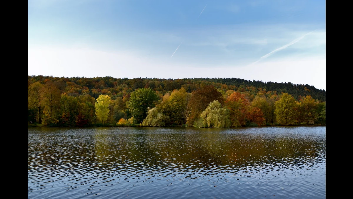 Il vento increspa la superficie dell'acqua del lago e l'autunno ingiallisce il colore delle foglie
