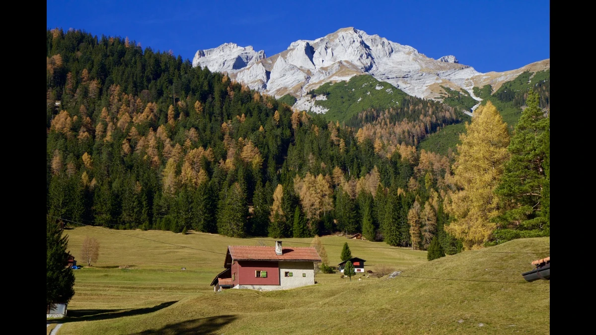 L'autunno in un alpeggio delle Alpi dove prati e altri si tingono di giallo