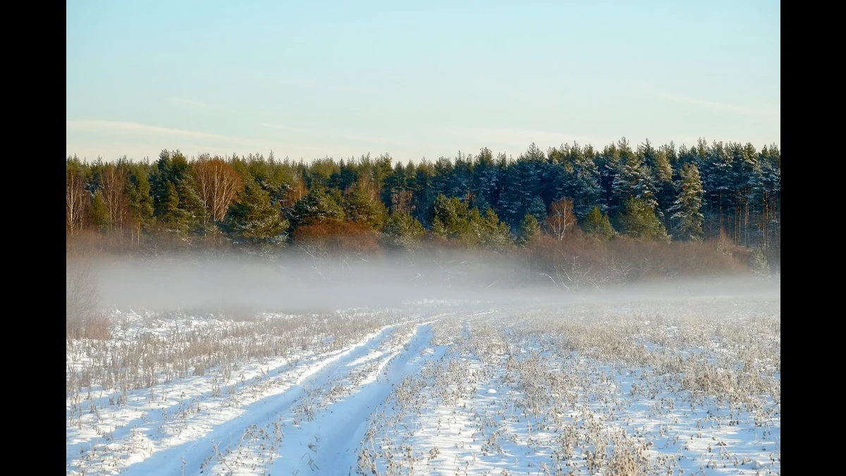L'immagine è carica di simboli dell'inverno: campagna coperta di gelo e di neve, leggero strato di nebbia, alberi colorati di giallo e rosso