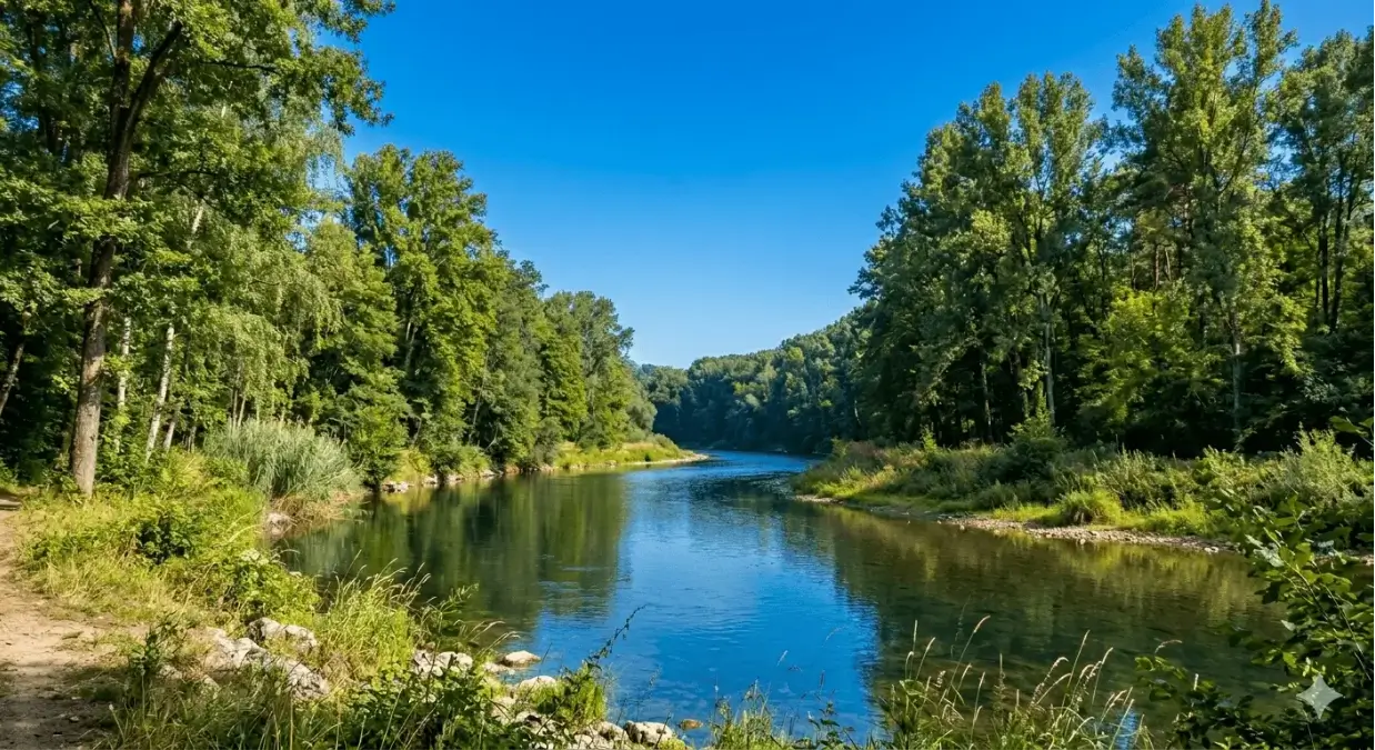 Fiume che scorre lentamente verso la valle