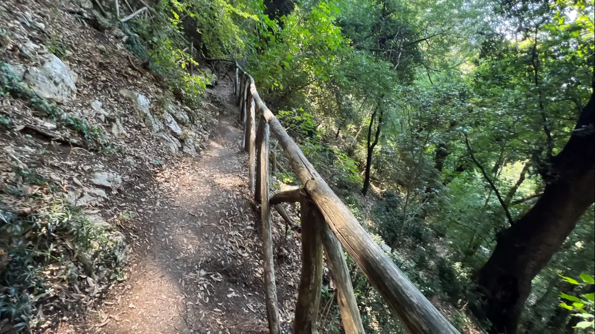 Eremo delle carceri a Assisi - sentiero che porta alle grotte di Bernardo di Quintavalle e di prete Silvestro